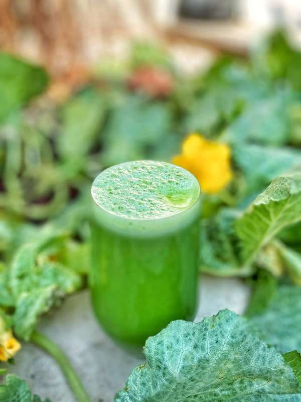 מיץ-ירוק-רואו-פוד-מיכאלה-עפרוני