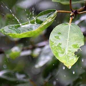 איך לעבור את החורף בקלות