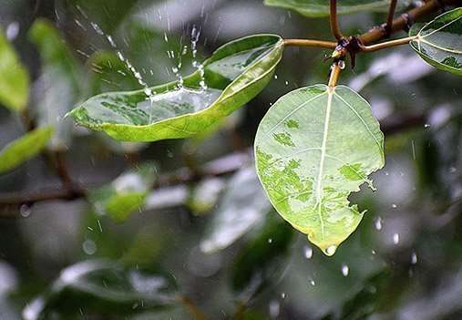 איך לעבור את החורף בקלות