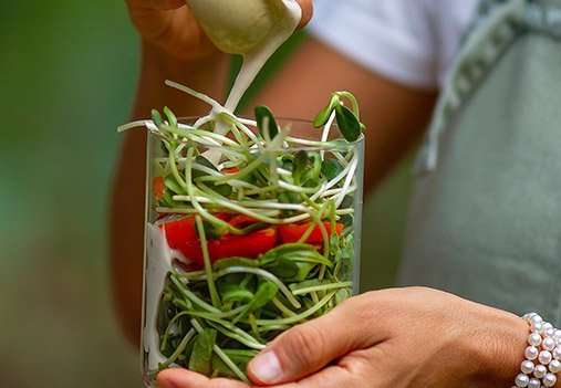 תזונה-צמחית-חיה-מיכאלה-עפרוני