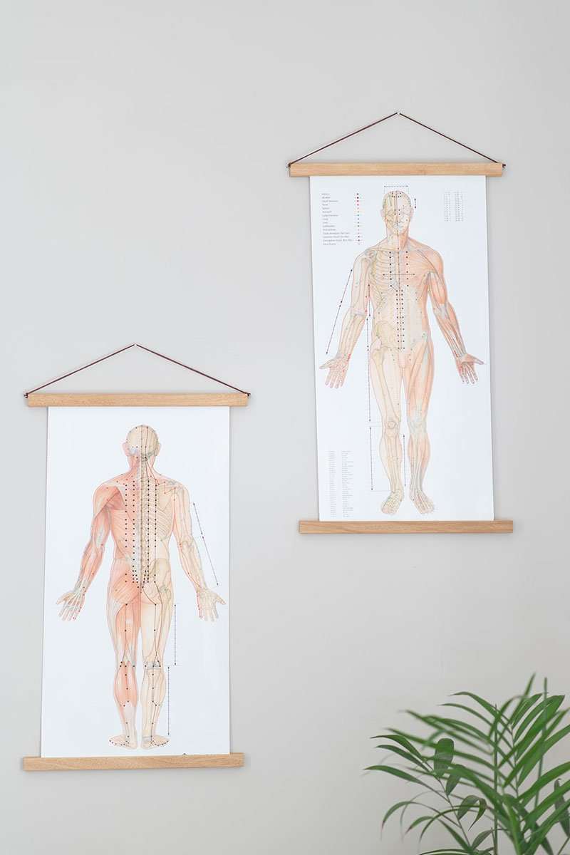 מיכאלה עפרוני קליניקה פרטית לרפואה סינית ובריאות טבעית